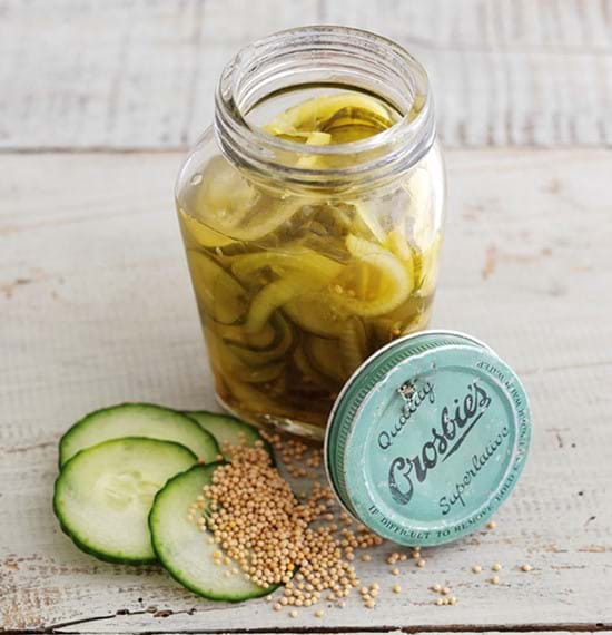 Cucumber and Onion Pickle Cucumber and Onion Pickle